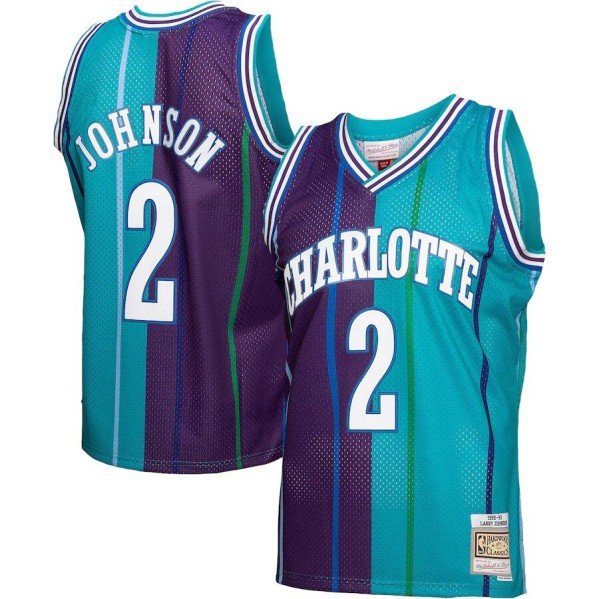 Charlotte Hornets #2 Larry Johnson Teal/Purple 1992-93 Mitchell & Ness Swingman Stitched Jersey